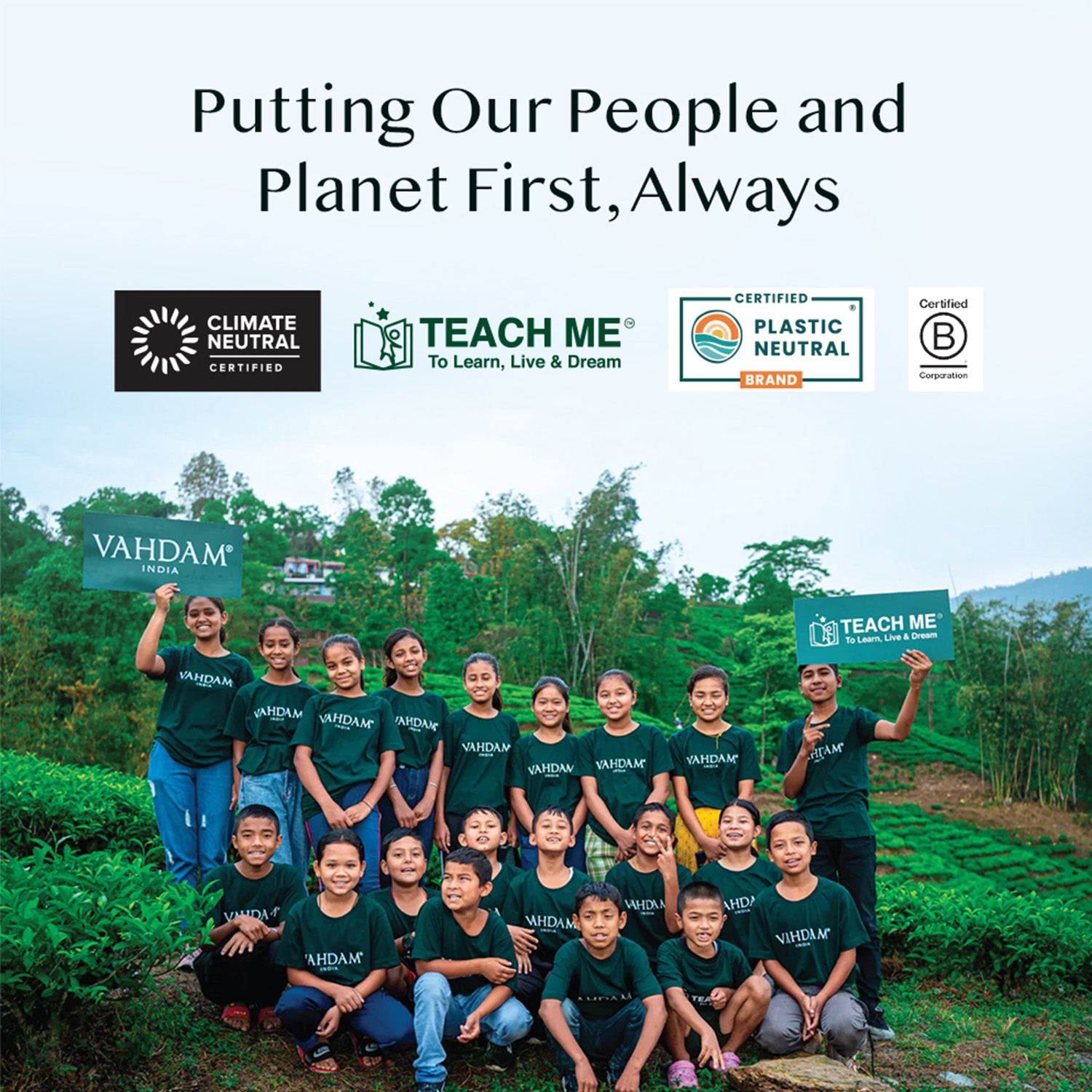 Classic Tea Sampler, Gift Set 24 Teas