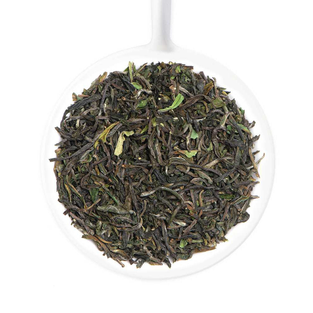 2025 Jungpana Premium Darjeeling First Flush Black Tea DJ 11
