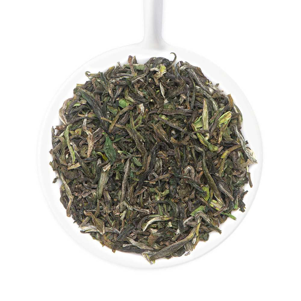 2025 Margaret's Hope Premium Darjeeling First Flush Black Tea DJ 42
