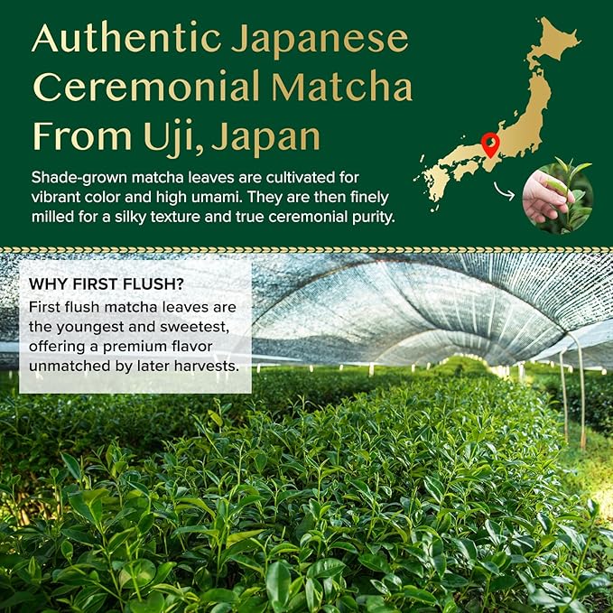 Ceremonial Matcha Green Tea Powder, 1.06oz/30g