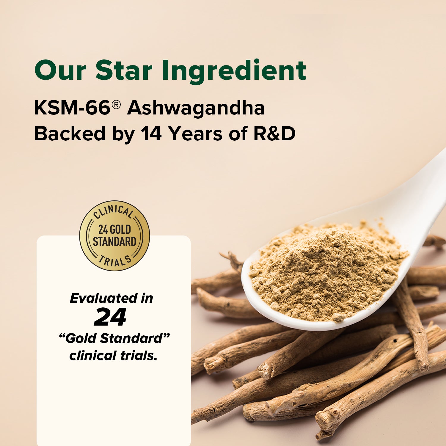 Ashwagandha Coffee (Pack of 2)