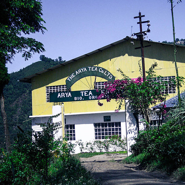 2026 Arya Diamond Darjeeling First Flush Black Tea | Single Estate